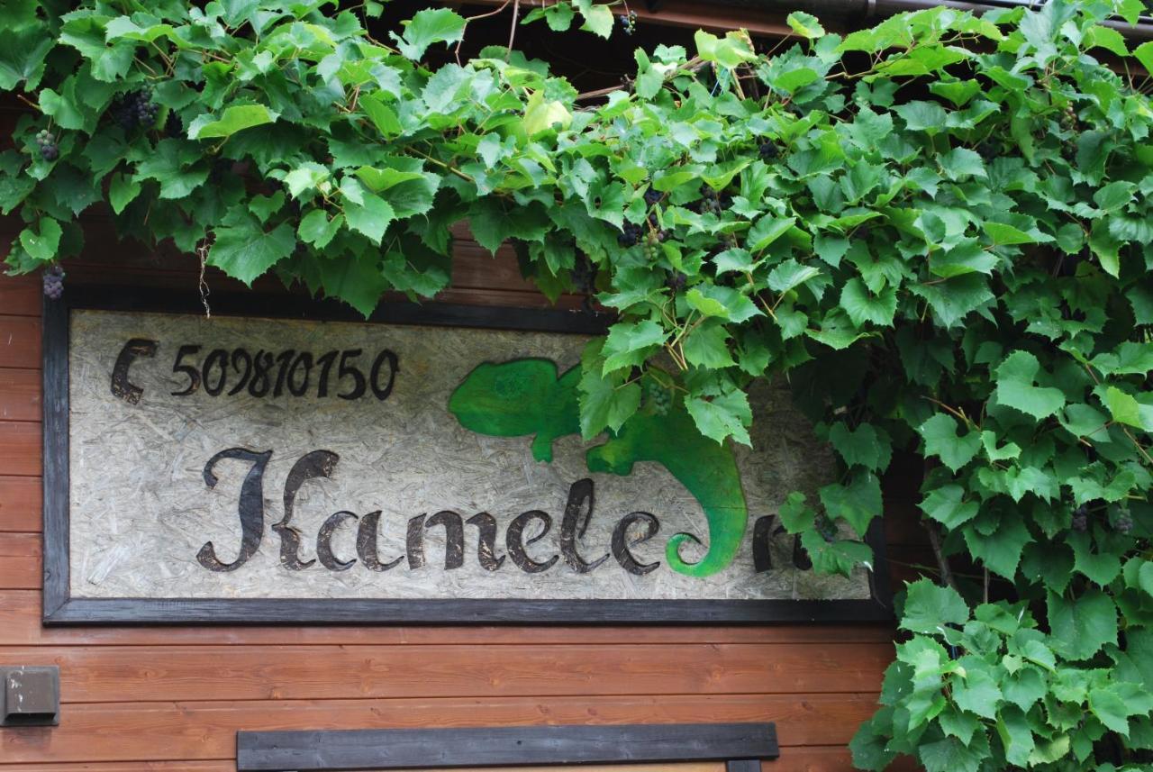 Kameleon Dzwirzyno Hotel Kültér fotó